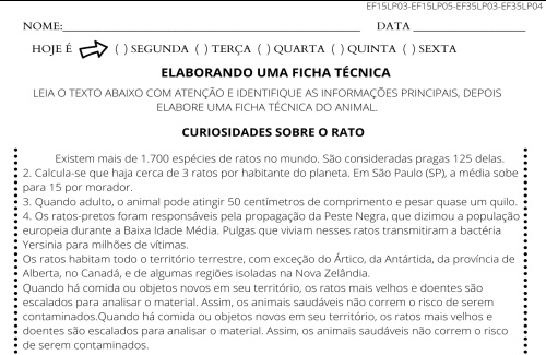 Ficha técnica- Rato